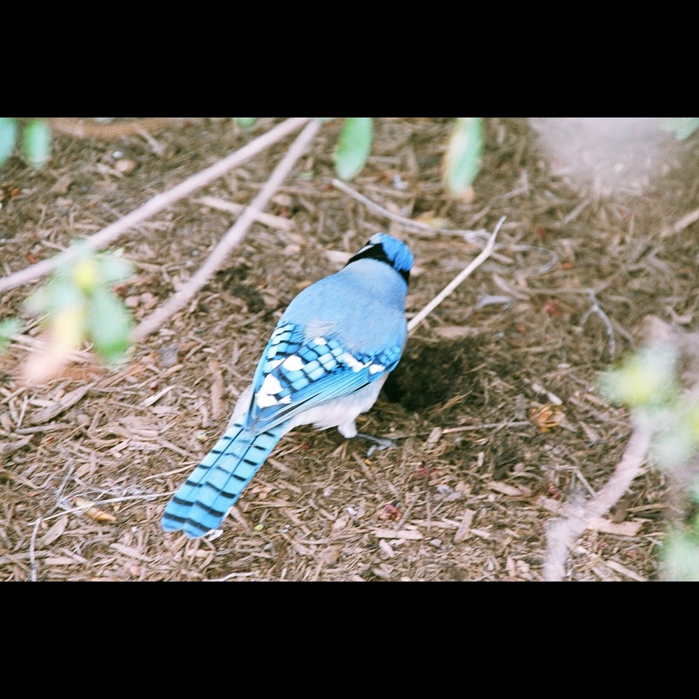 Meet your Posher, Cate